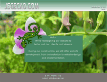 Tablet Screenshot of jsgecko.com